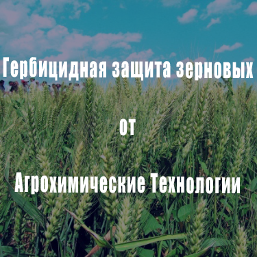 Гербіцидний захист зернових від Агрохімічні Технології 