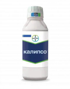 Инсектицид Калипсо – Купить Цена Оригинал 100% – АгроМен