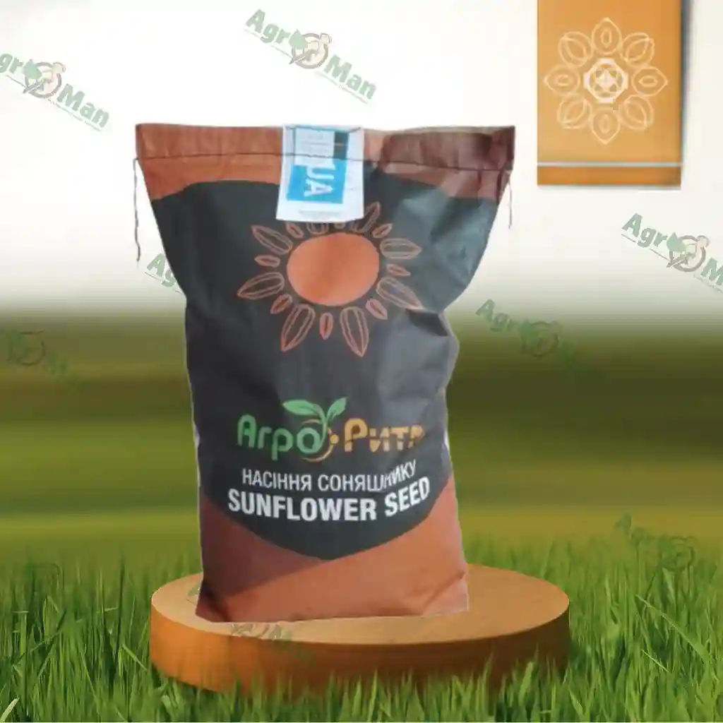 Соняшник АР Імпульс