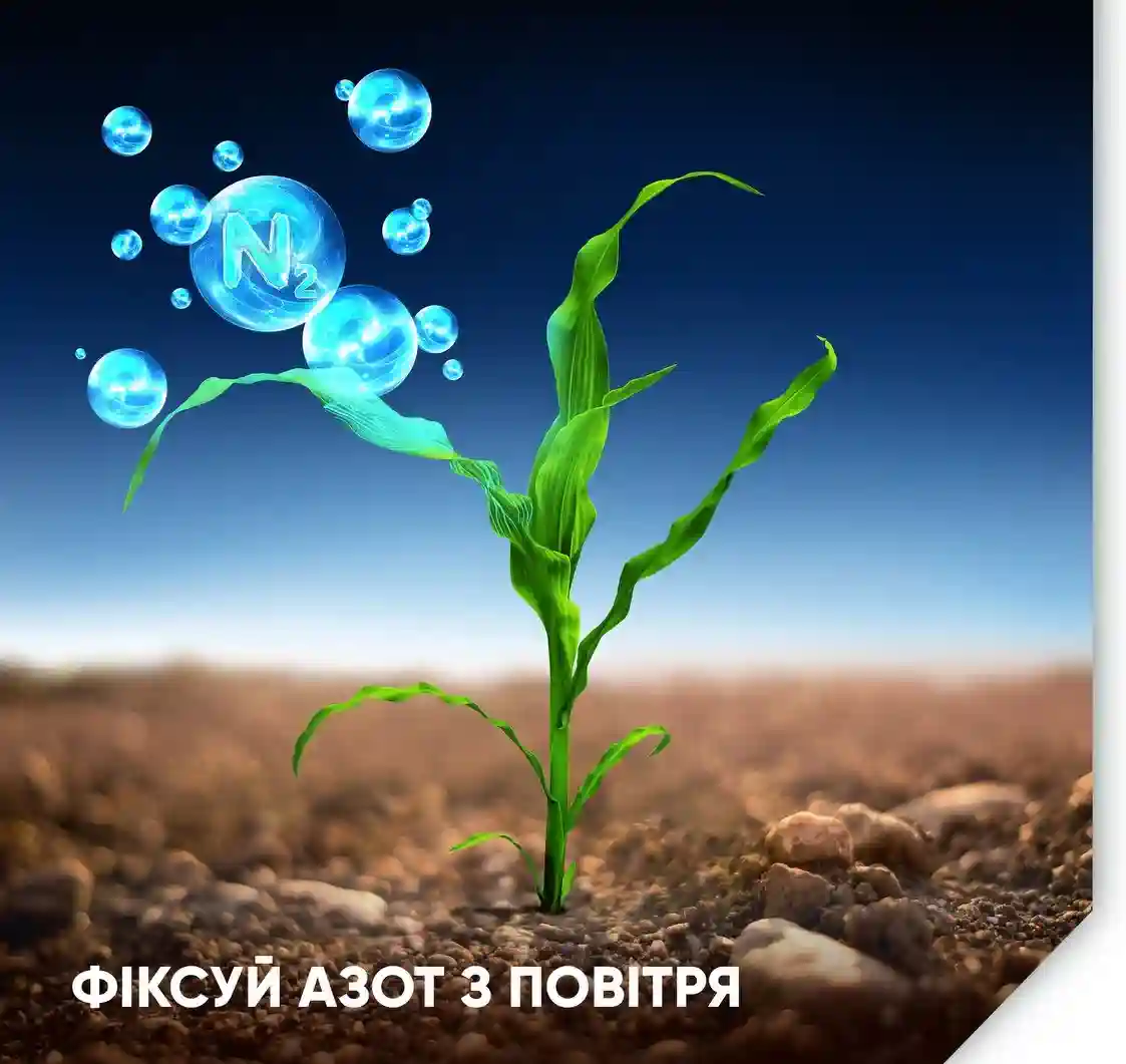 Біологічний оптимізатор Блу N