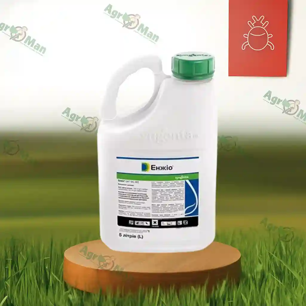 Інсектицид Енжіо 247 SC