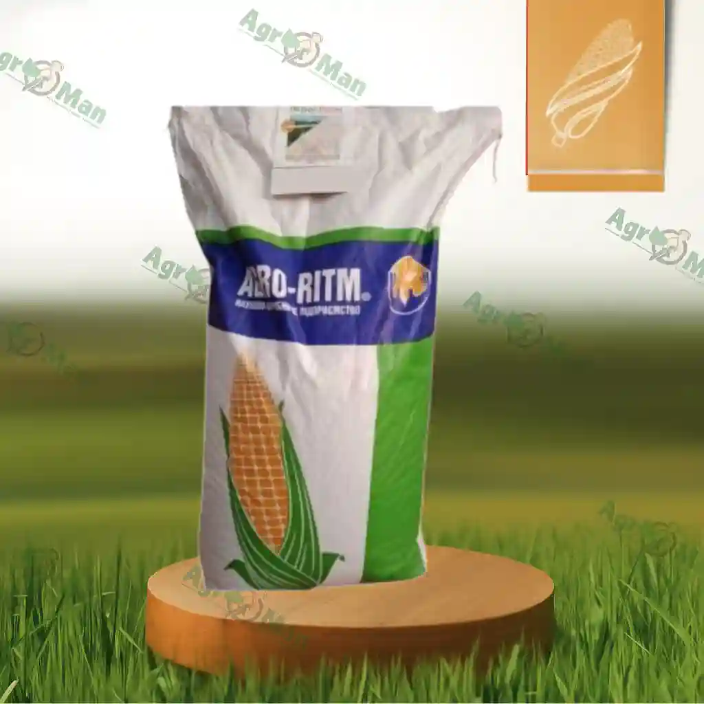 Кукурудза Тіадор