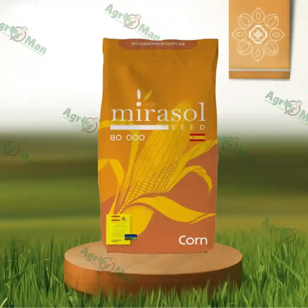 Кукуруза Арболь/Рейна