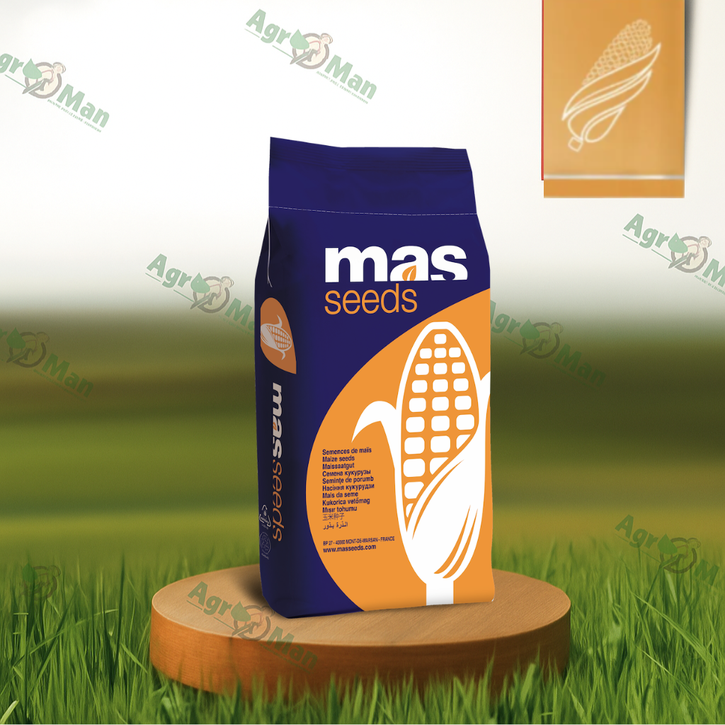 Кукурудза MAS 30.M