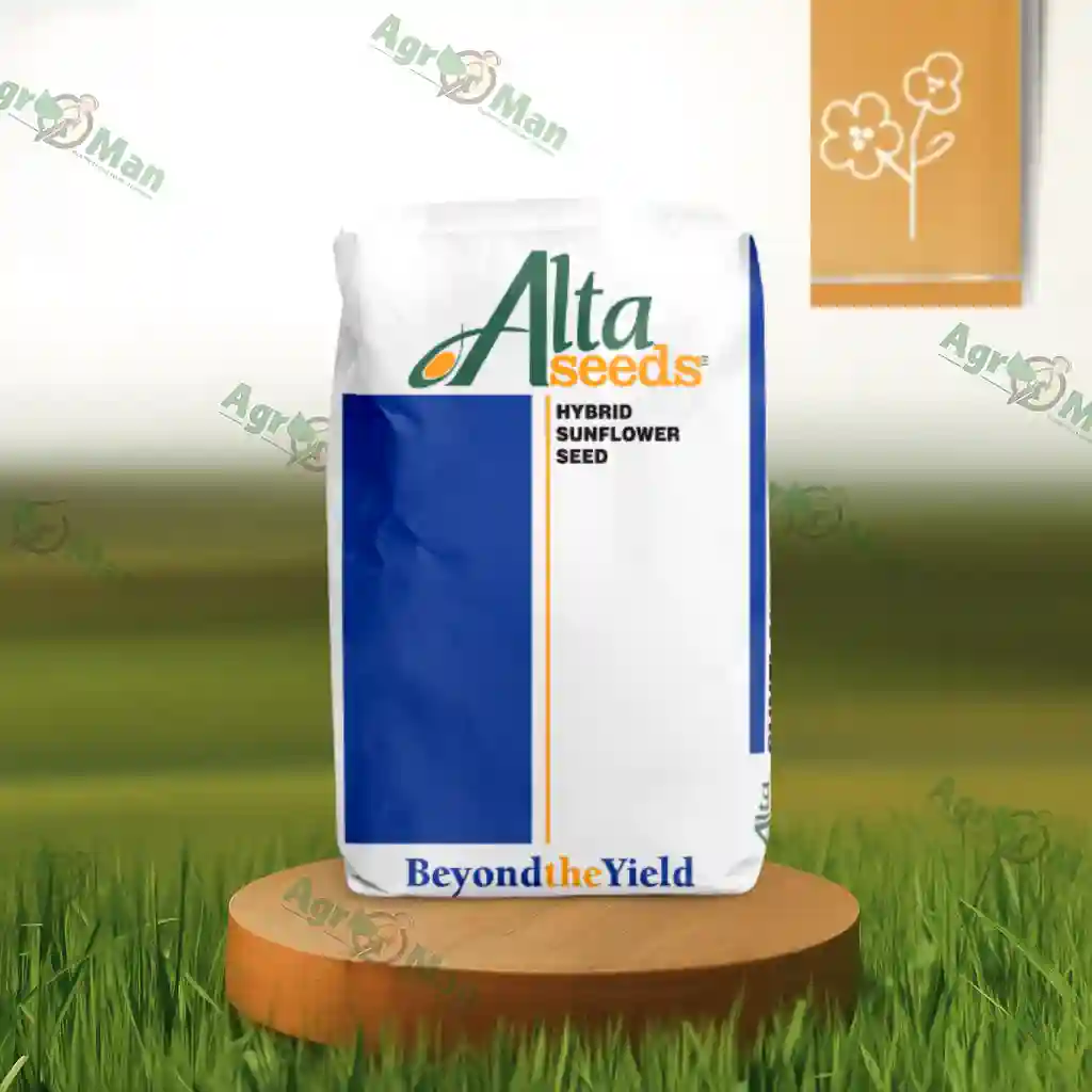 Рапс Коутрие