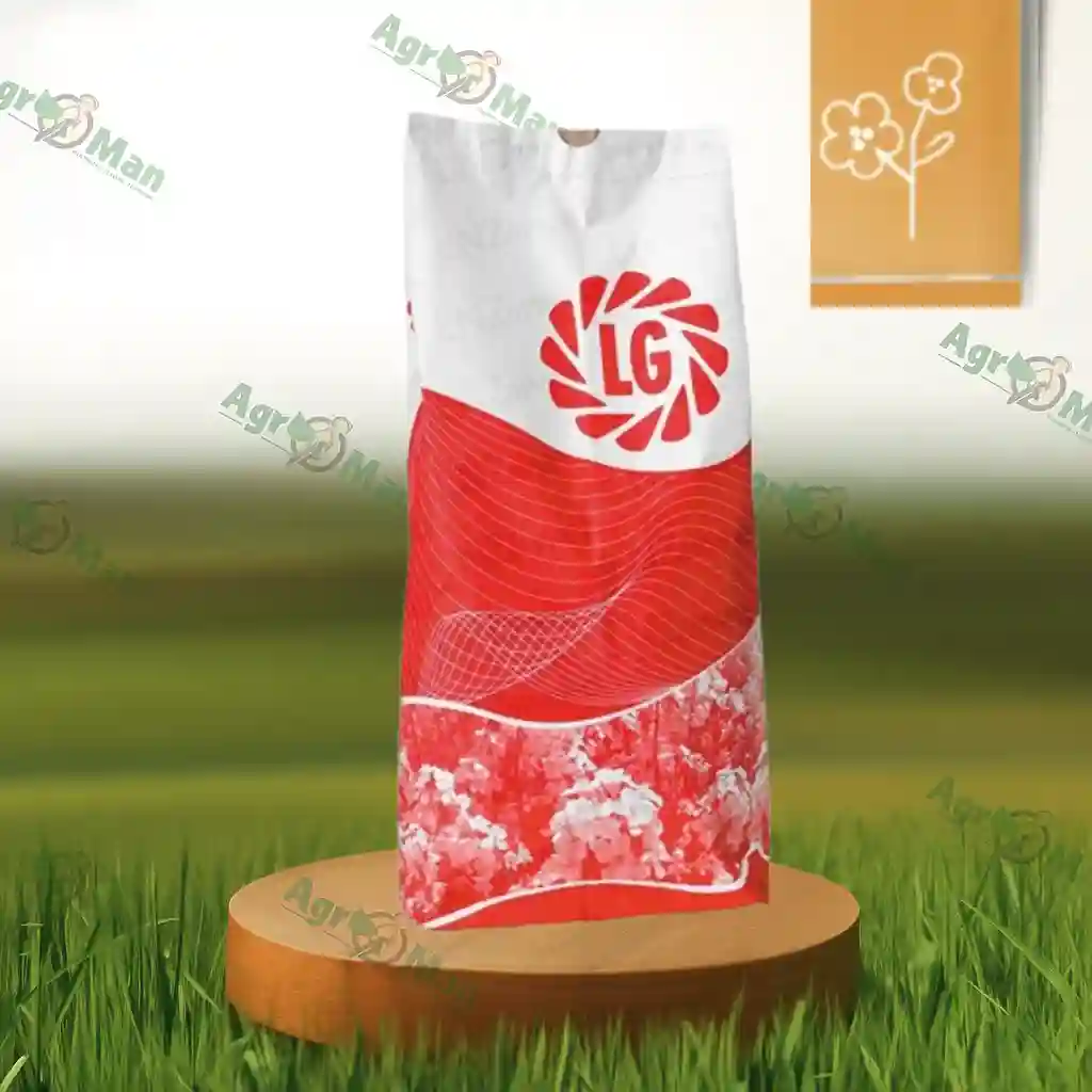 Ріпак Антігуа 