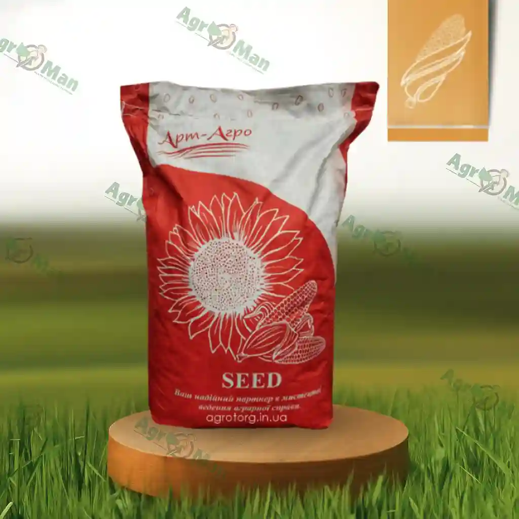 Подсолнечник Аркос