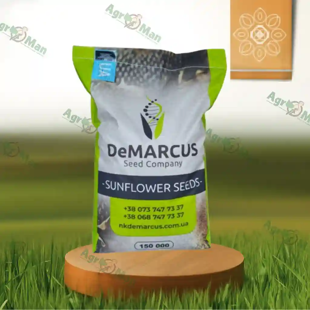 Подсолнечник Кобби