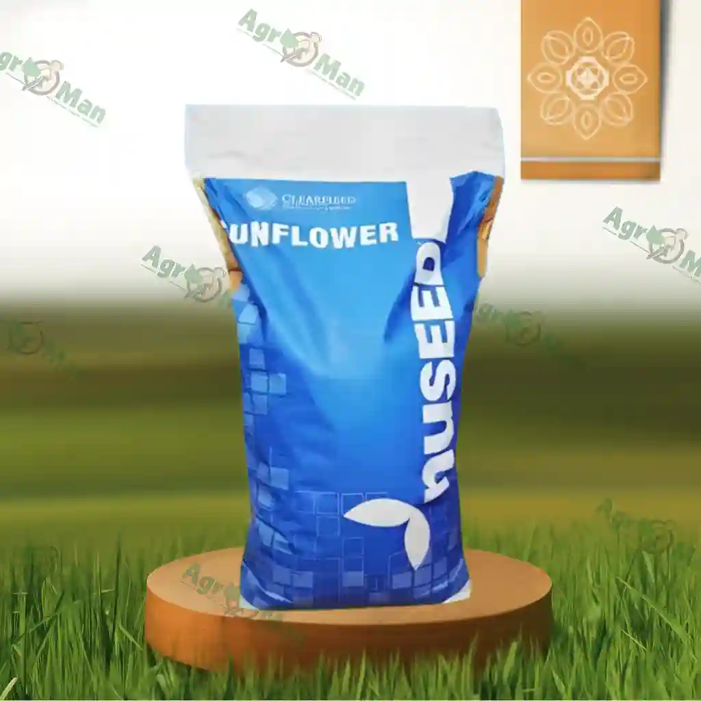 Соняшник Н4Х205 E