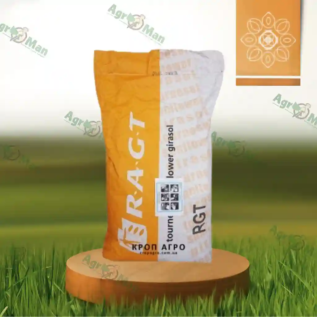 Кукуруза РЖТ Фероккси